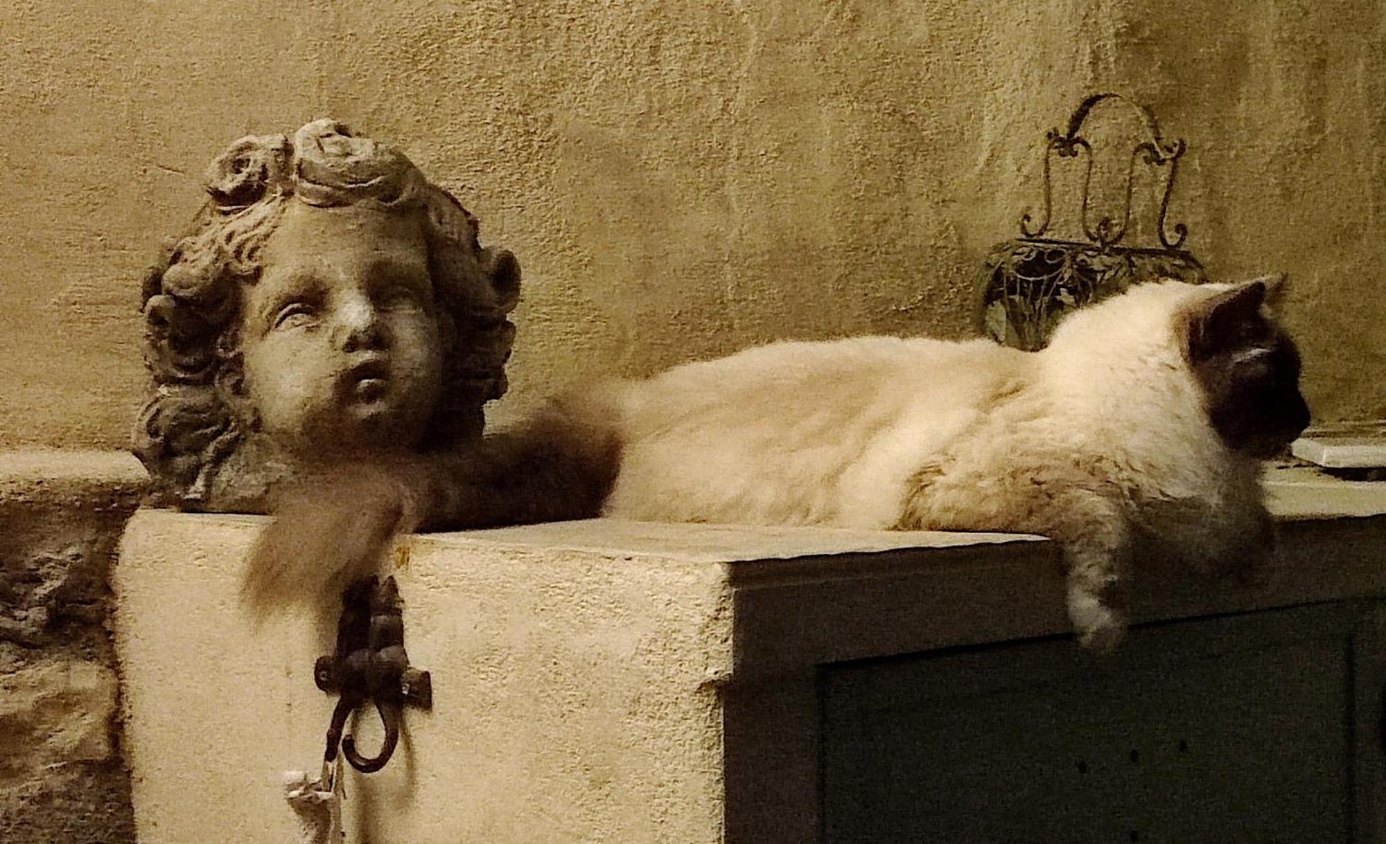 Le Chat Sur Le Toit ルールマラン エクステリア 写真