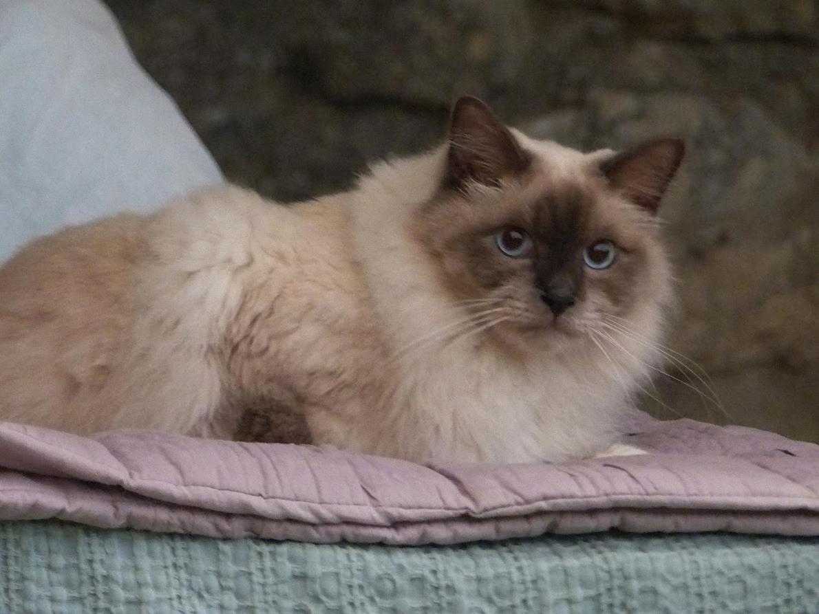 Le Chat Sur Le Toit ルールマラン エクステリア 写真